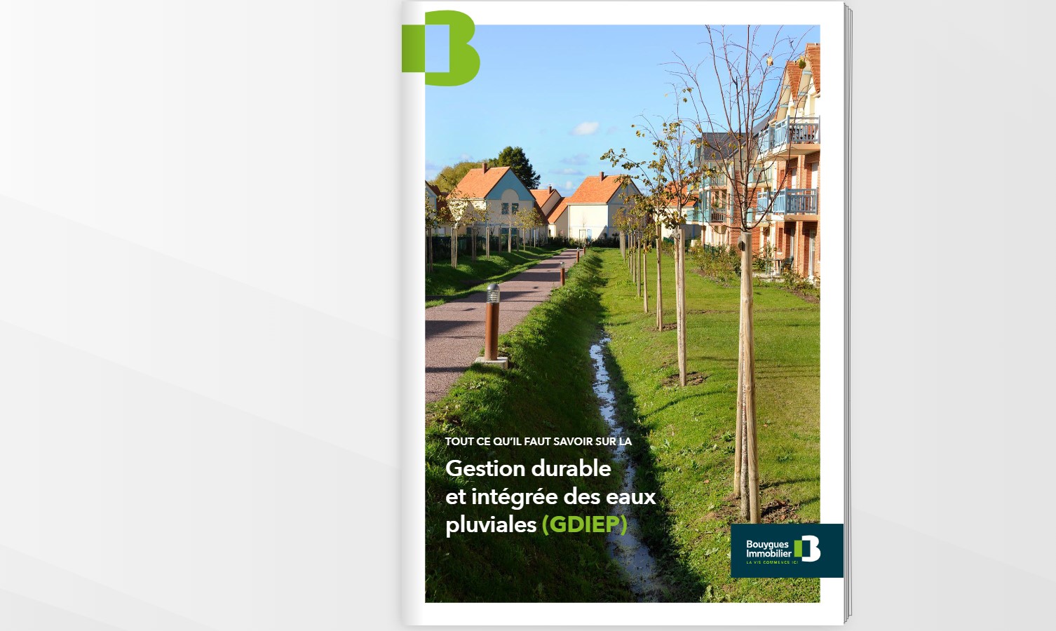 Brochure Bouygues Immobilier sur la gestion des eaux pluviales